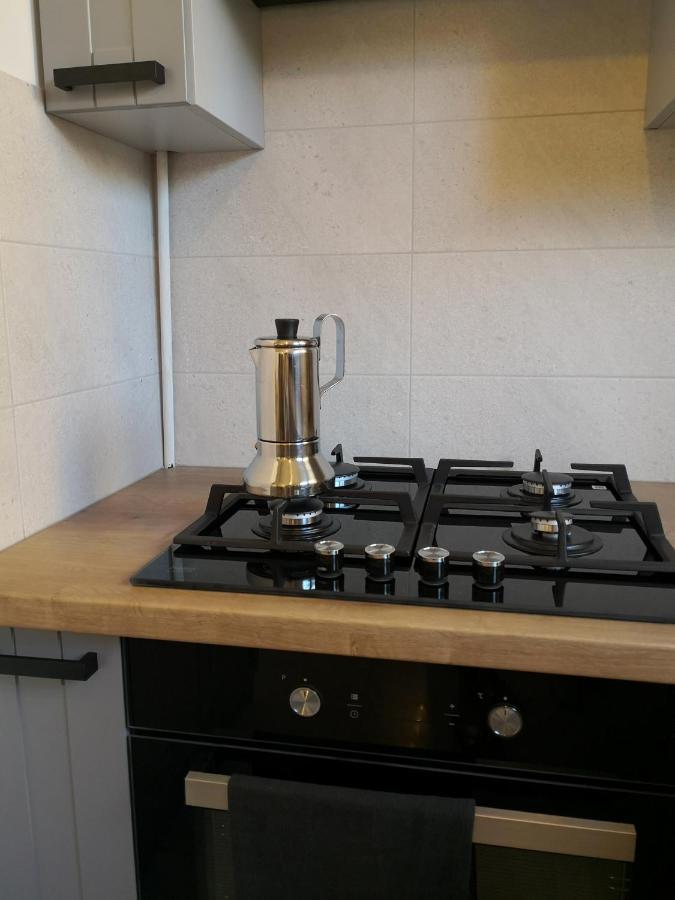Apartament Przy Starowce 桑多梅日 外观 照片