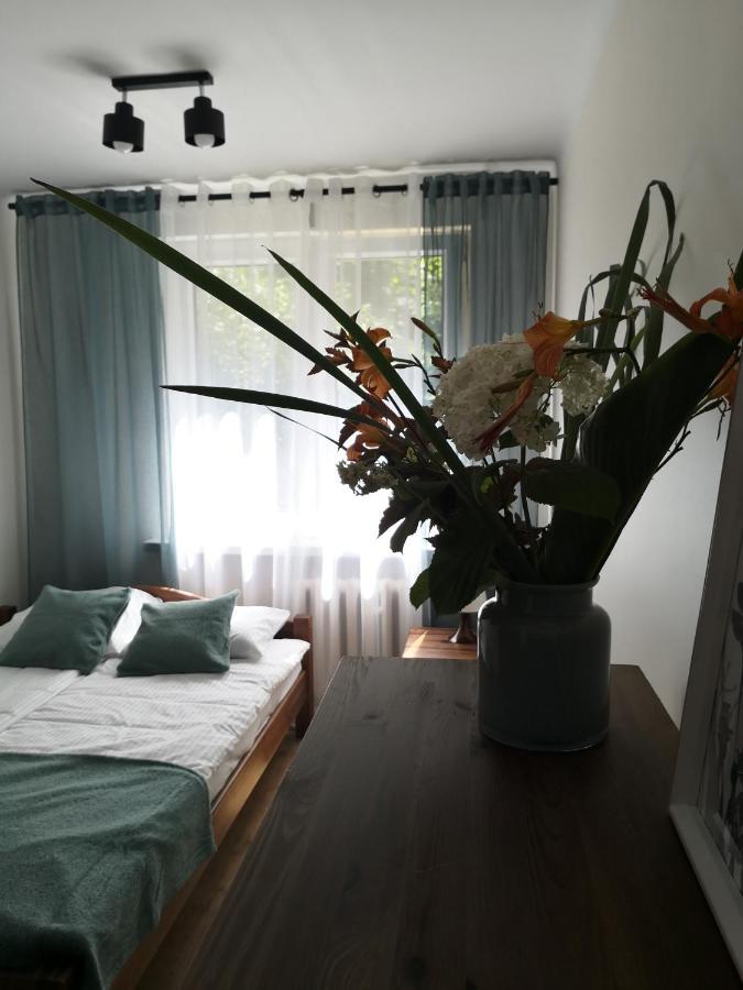 Apartament Przy Starowce 桑多梅日 外观 照片